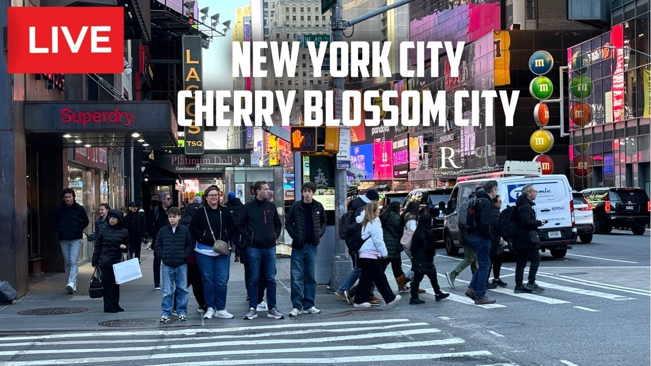 New York City: Cherry Blossom Upper Manhattan | Midtown Manhattan  Live