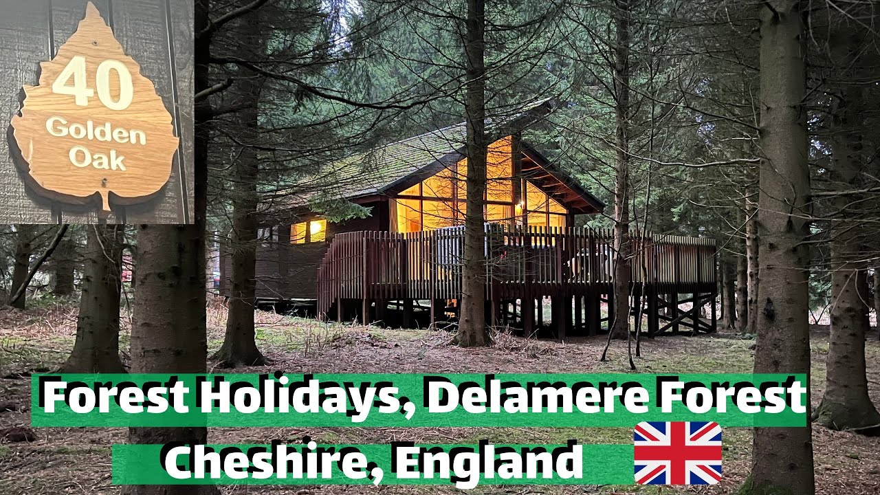 Forest Holidays - Delamere Forest | Golden Oak Lodge  - 🏴󠁧󠁢󠁥󠁮󠁧󠁿 Cheshire, England