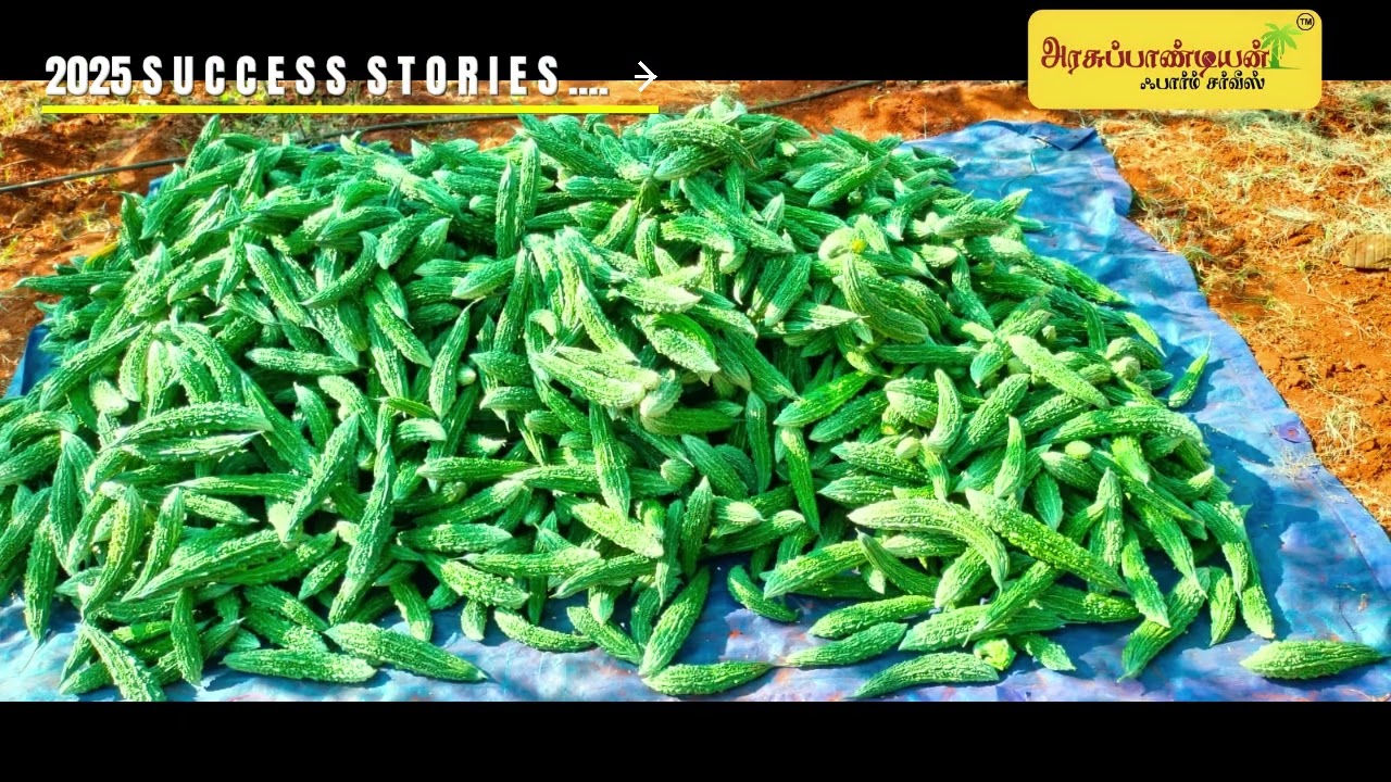 மண்ணு பேசும் மௌன மொழி | விவசாயியின் நம்பிக்கை பாடல் | அரசு பாண்டியன் ஃபார்ம் சர்வீஸ் | New Year 2026