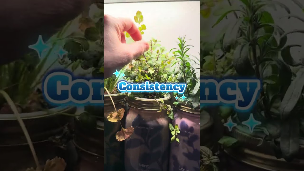 One thing my plants don’t care about: perfection.