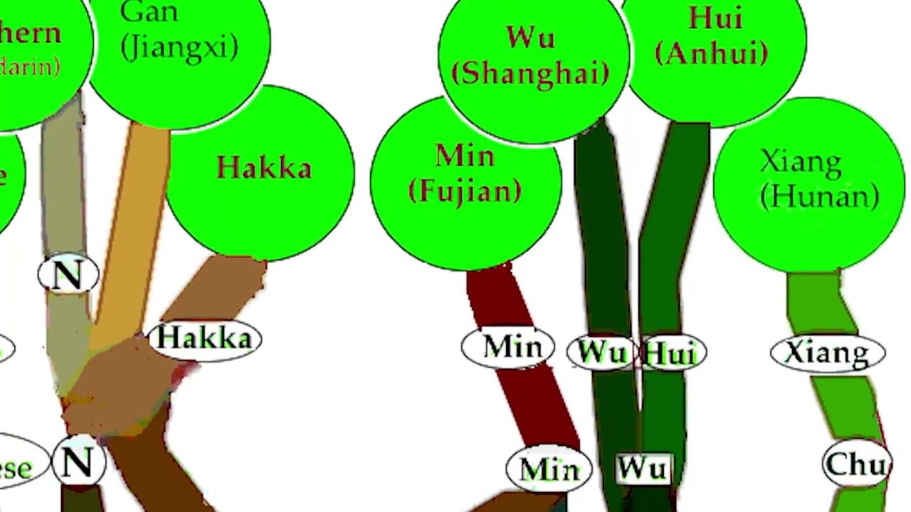 A Story of Shanghainese