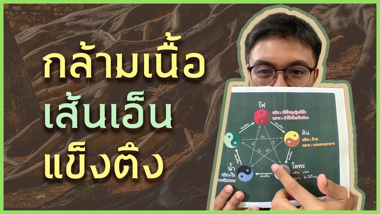 กล้ามเนื้อ(ธาตุดิน) และ เส้นเอ็น(ธาตุไม้) แข็งตึง - หมอนัท Live