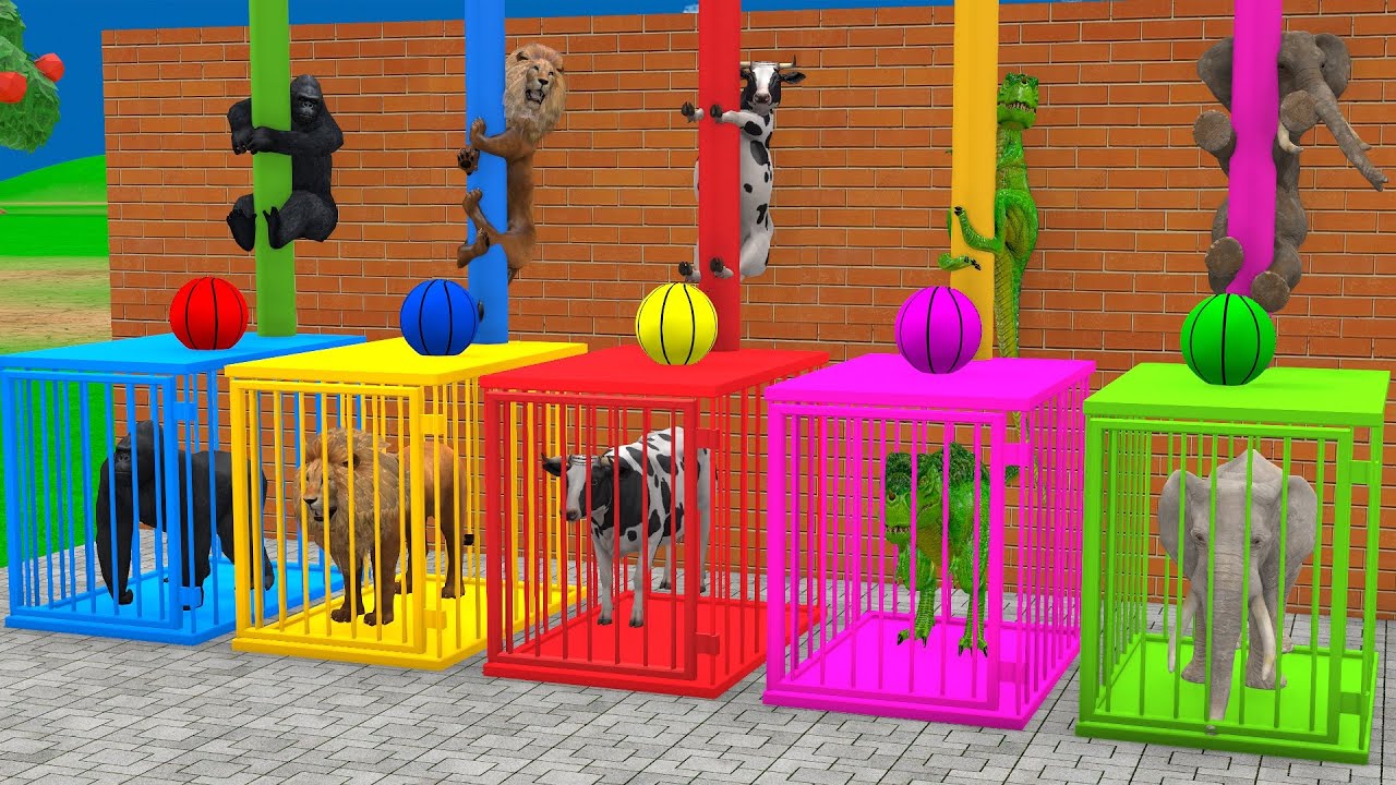 Long Slide Game With Cow Elephant Gorilla Hippopotamus Tiger 3d Animal Game Funny 3d Animals