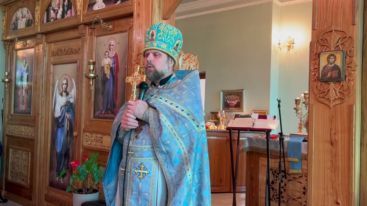 Мозг - это очки виртуальной реальности. 06.07.25.