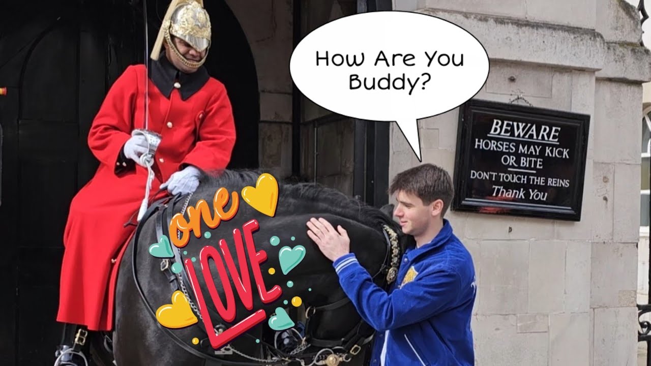 See How This Horse Reacts When Off Duty KING'S LIFE GUARD Visits Collegue❤️