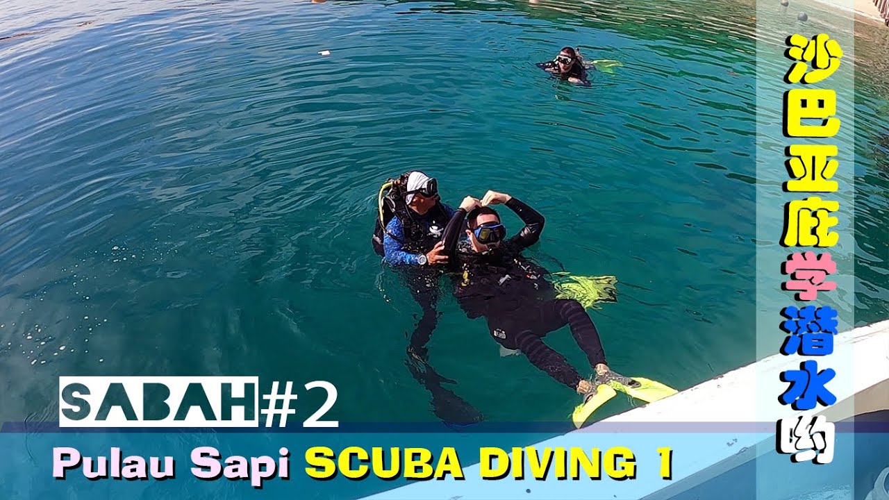 【沙巴 #2】Sabah 亚庇 Sapi Island 学潜水啦 ❗❗ Kota Kinabalu Pulau Sapi SDI Diving Course
