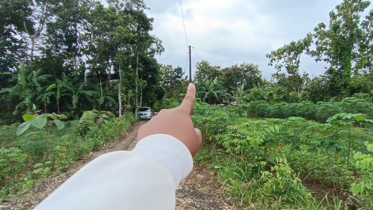 Dijual tanah pekarangan dekat kota wonosari✅ #dijual shmp 1.794m²