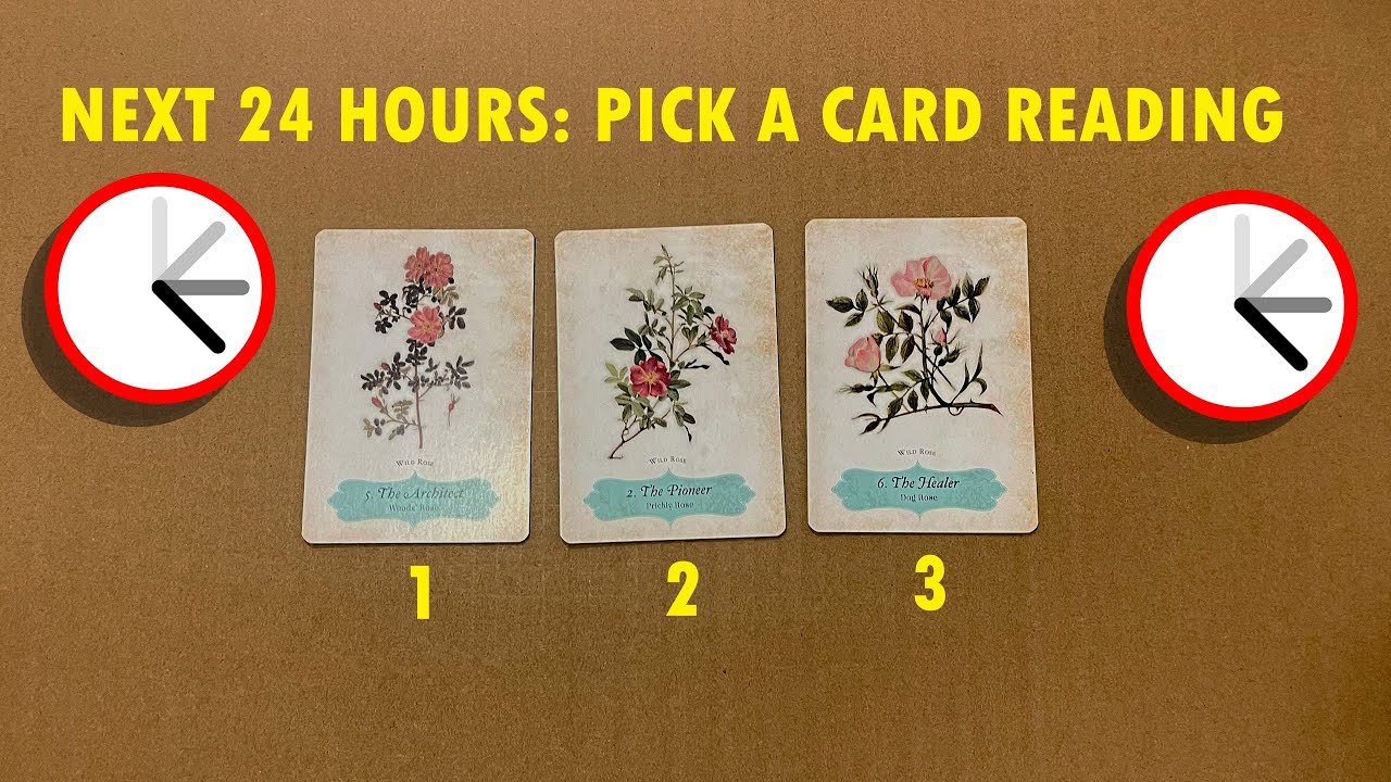 The next 24 Hours... brings you this! Timeless tarot reading