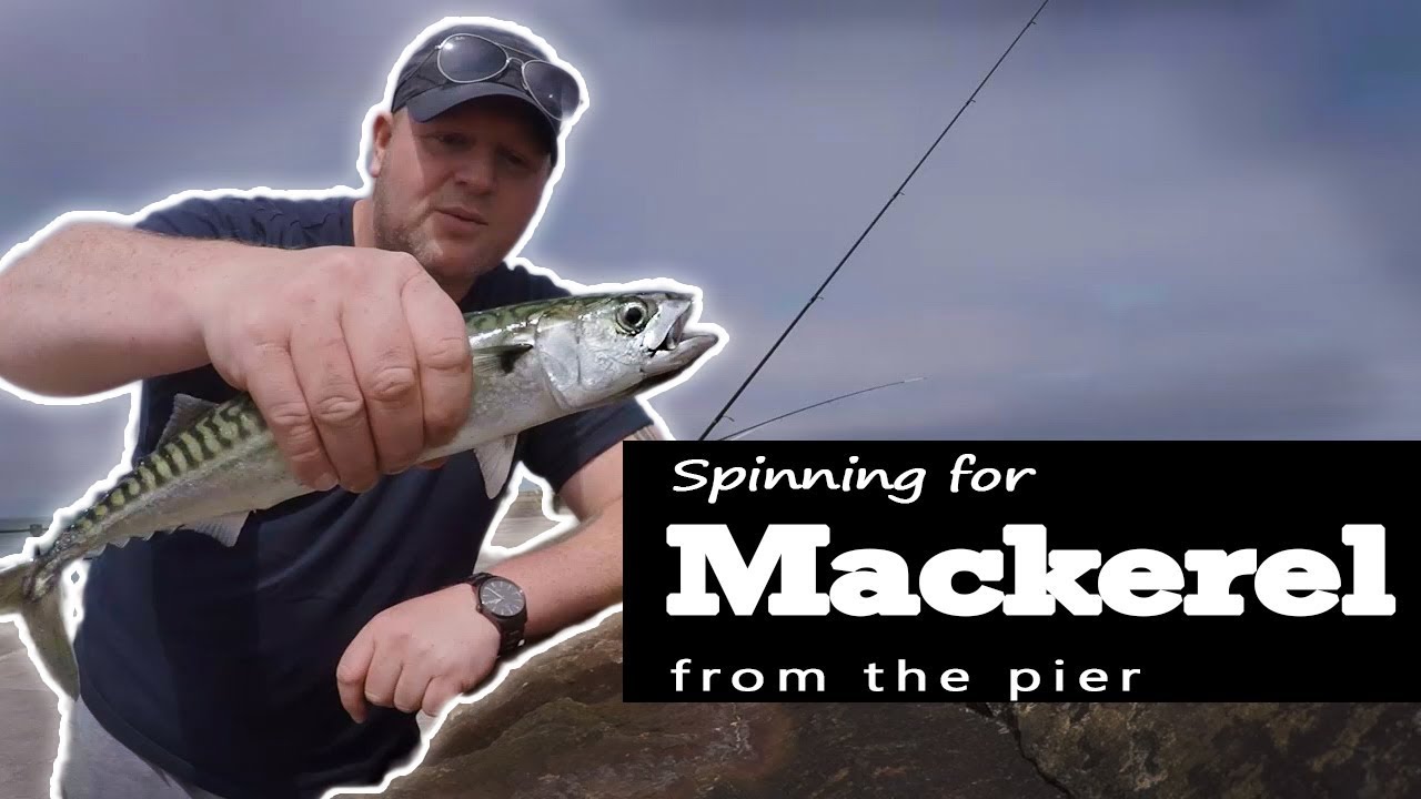 Spinning for Mackerel from the Pier