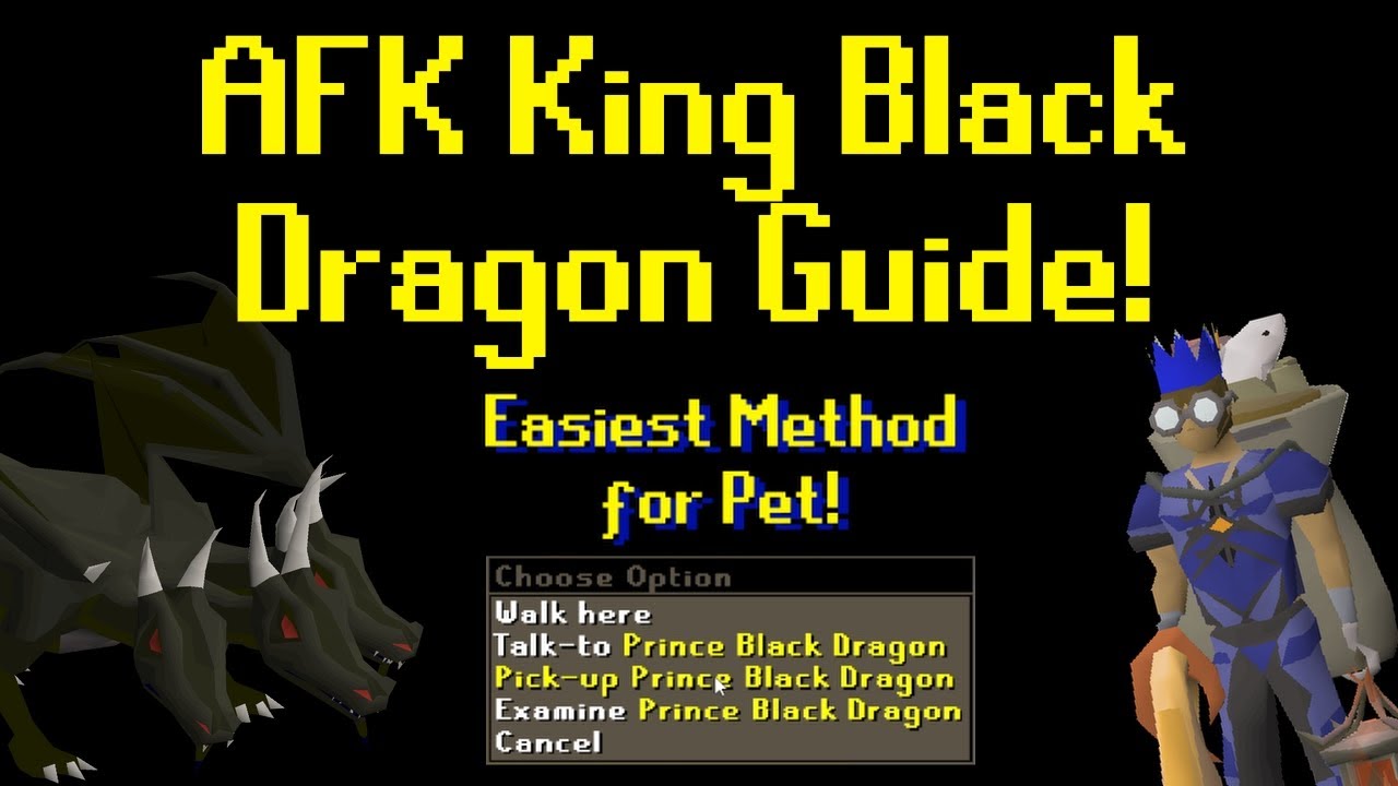 Руководство по AFK King Black Dragon (самый простой способ получить питомца) OSRS
