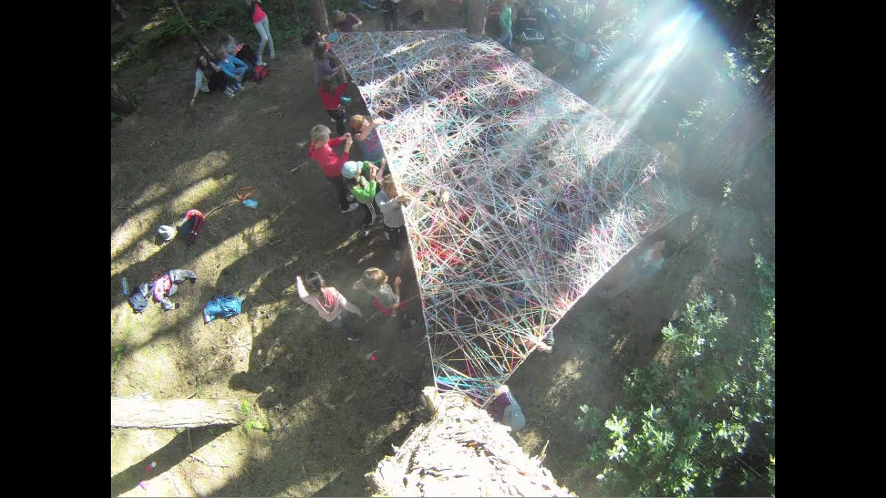 spinneweb