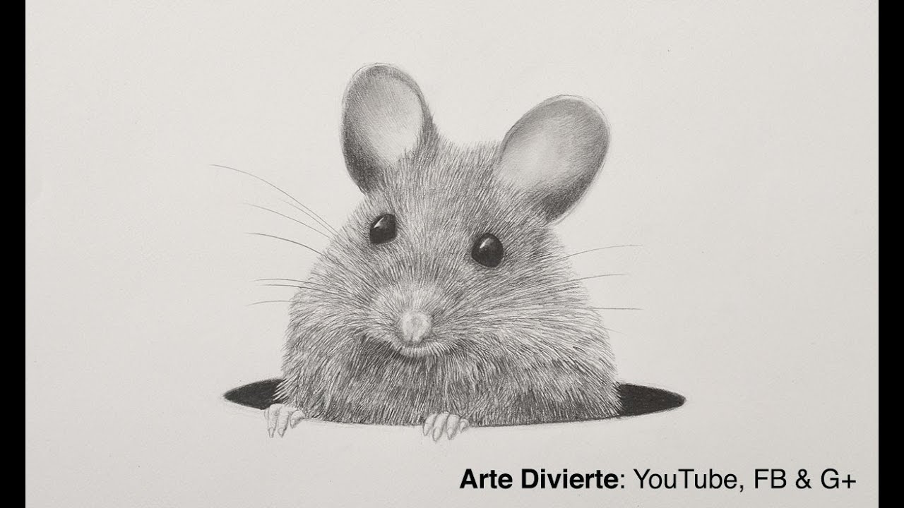 Cómo dibujar un ratón a lápiz - Pelo animal