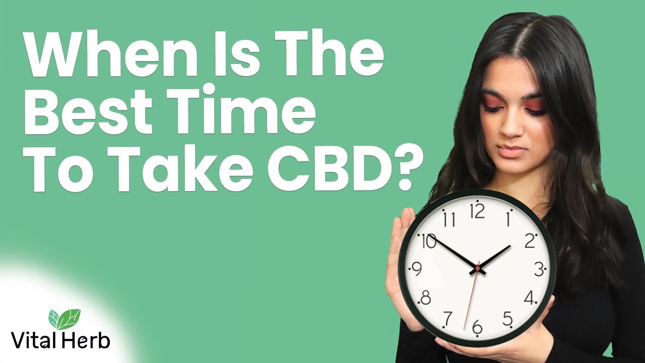 When Is The Best Time To Take CBD? - [Vital Herb]