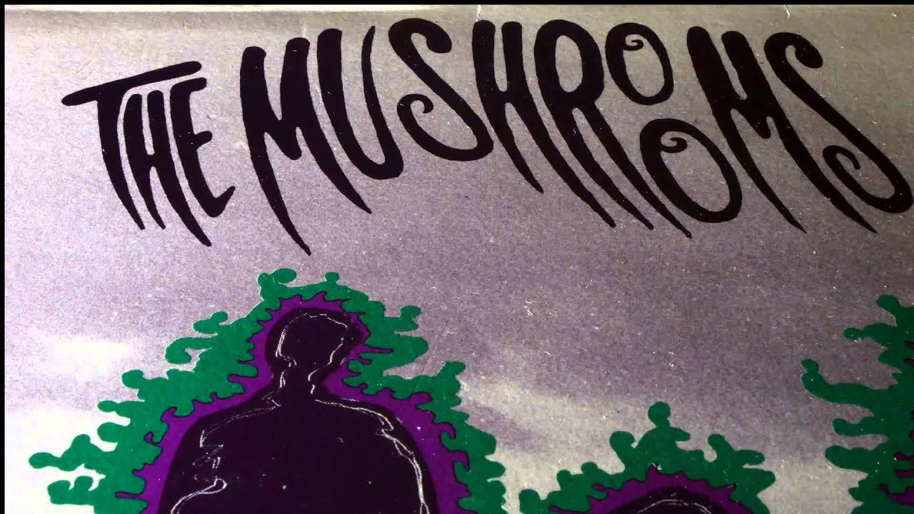 06. Deviation - Taste Of - THE MUSHROOMS