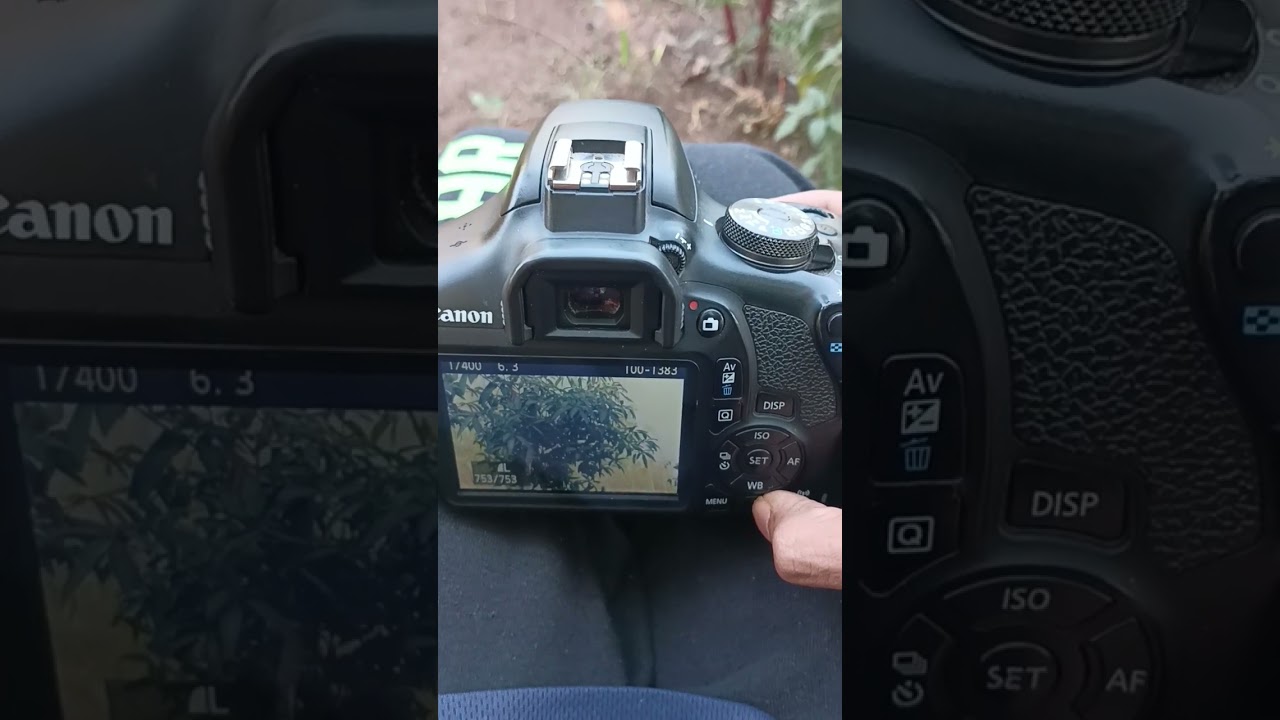 canon 1500d display zoom unzoom