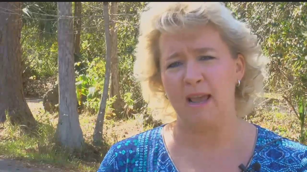 Golden Gates residents calling for end of backyard shooting ranges