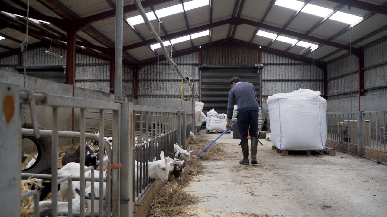 Broughgammon Farm, Co. Antrim | 2024 RDS Sustainable Farming Award Winner