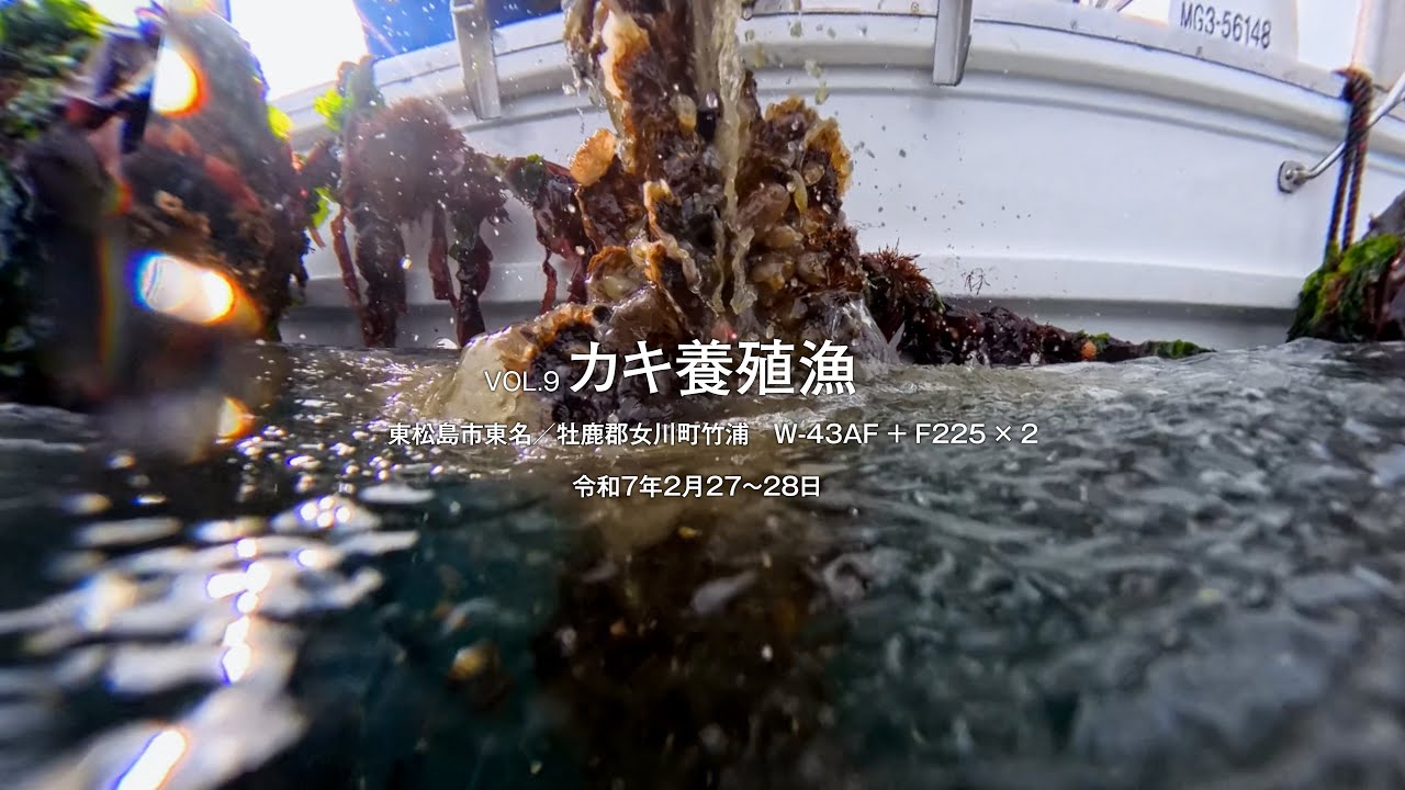 日本の漁業とともに Vol.9 「カキ養殖」