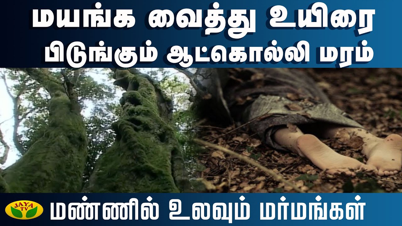 மயங்க வைத்து உயிரை பிடுங்கும் ஆட்கொல்லி மரம் ... | Mannil Ulavum Marmangal | JayaTv