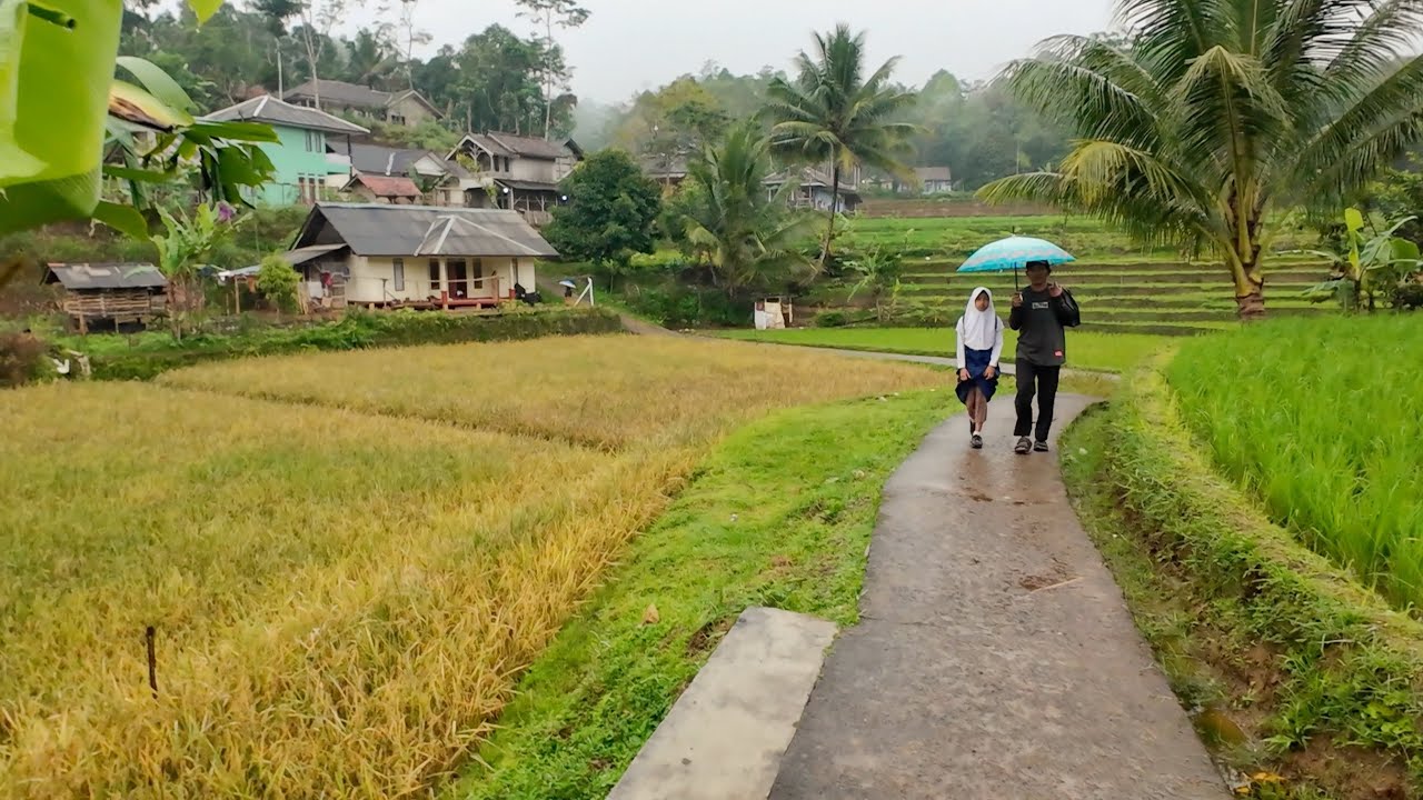 BIKIN BETAH! SUASANA PAGI DI PEDESAAN, KABUT DAN HUJAN TURUN MENGGUYUR KAMPUNG TERTINGGI YANG INDAH