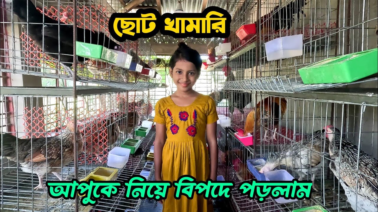 ছোট খামারি আপুকে নিয়ে বিপদে পড়লাম #shakilfarming #দেশিমুরগি