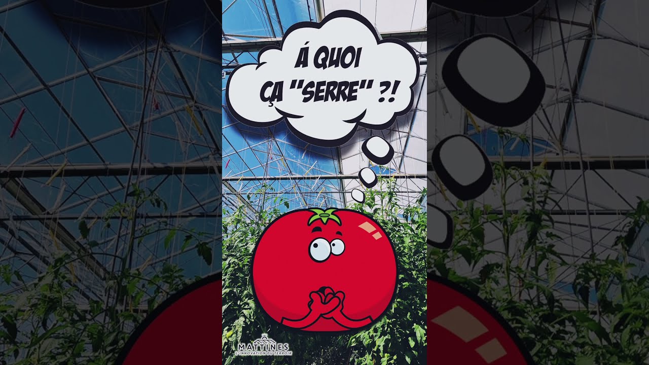 A quoi ça serre - Le broyage des tomates