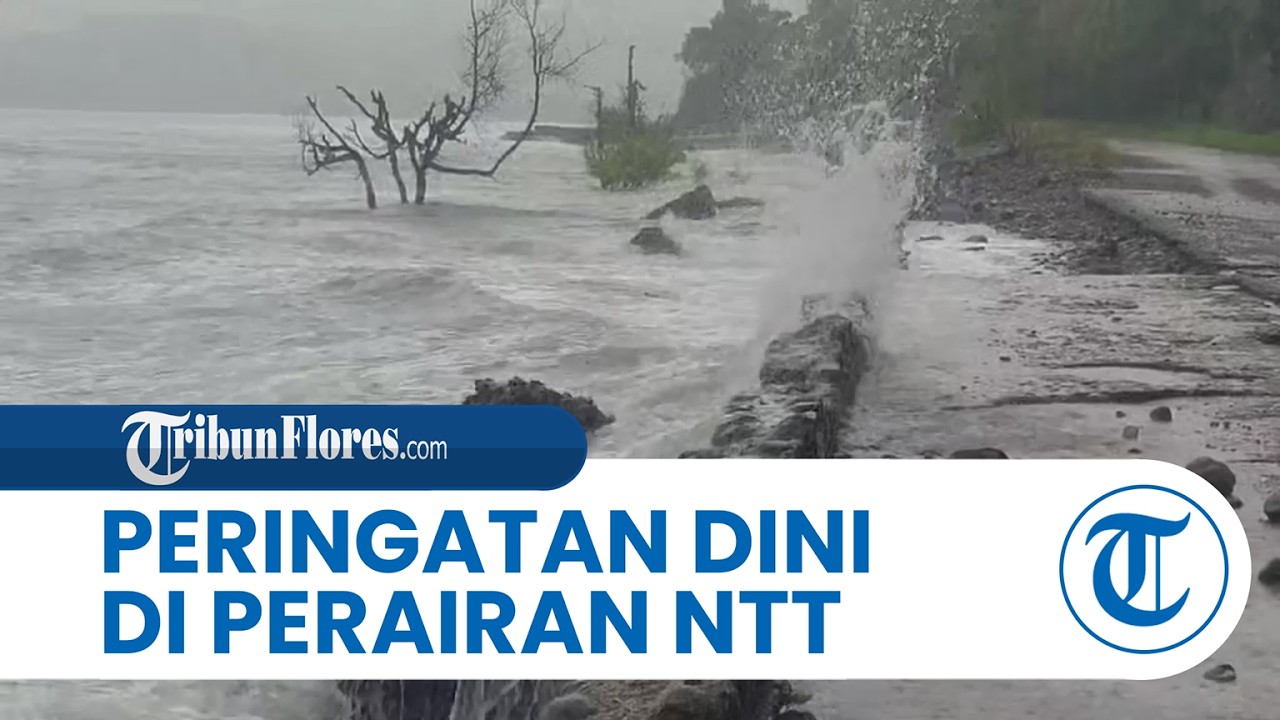 BMKG Keluarkan Peringatan Dini Gelombang Tinggi di Perairan NTT Dua Hari Kedepan