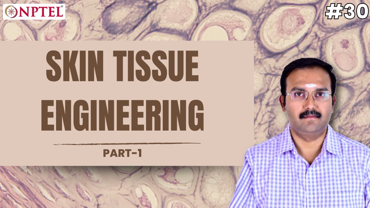 #30 Skin Tissue Engineering | Part 1 | Introduction to Tissue Engineering