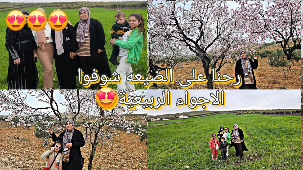 رحنا تصورنا عند الشجرة شوفوا  اجواء الربيعية