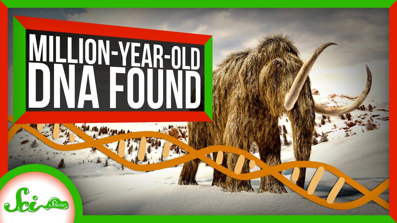 The Oldest DNA Ever Found