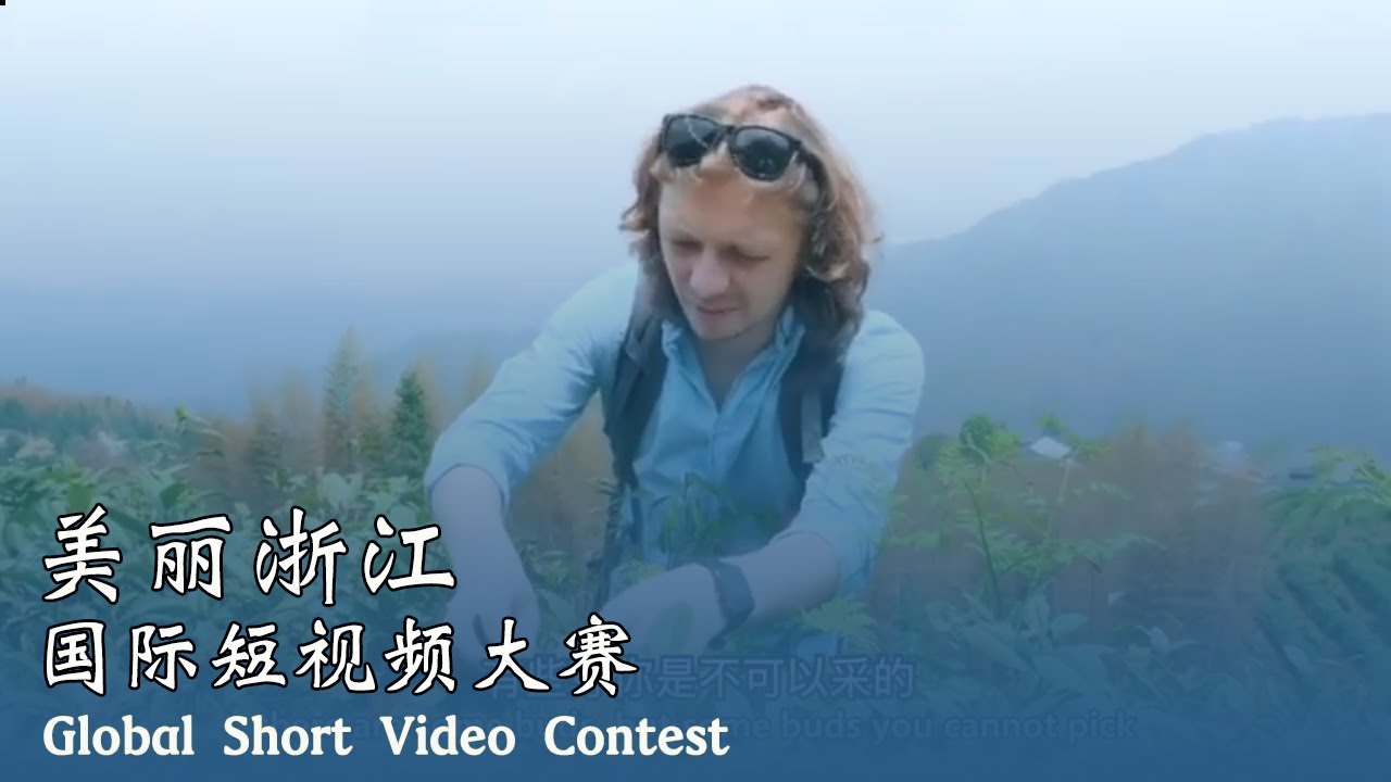 外国人体验浙江茶业 Foreigners experience Zhejiang tea industry｜Beautiful Zhejiang｜Blueberry TV
