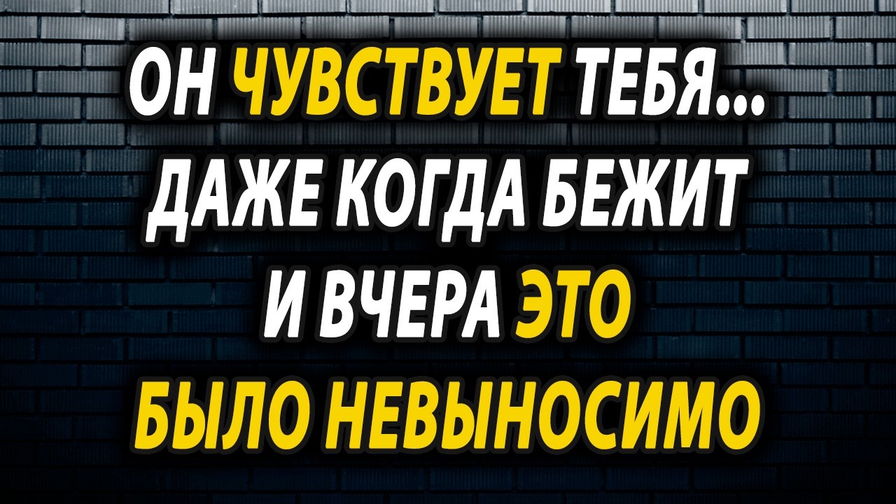 Твой человек страдает сильнее, чем ты думаешь. Почему его дистанция — это крик о помощи?