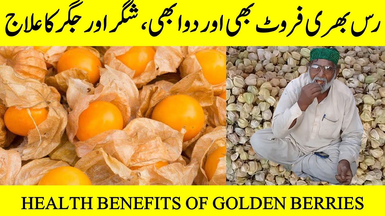 Rasbhari ke fayde |golden berry fruit |Health Benefits of Golden Berry Hindi Urdu @BusinessIdeaz