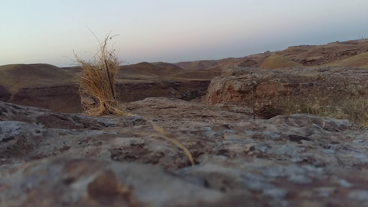 ڕاوکردنی سوێسك