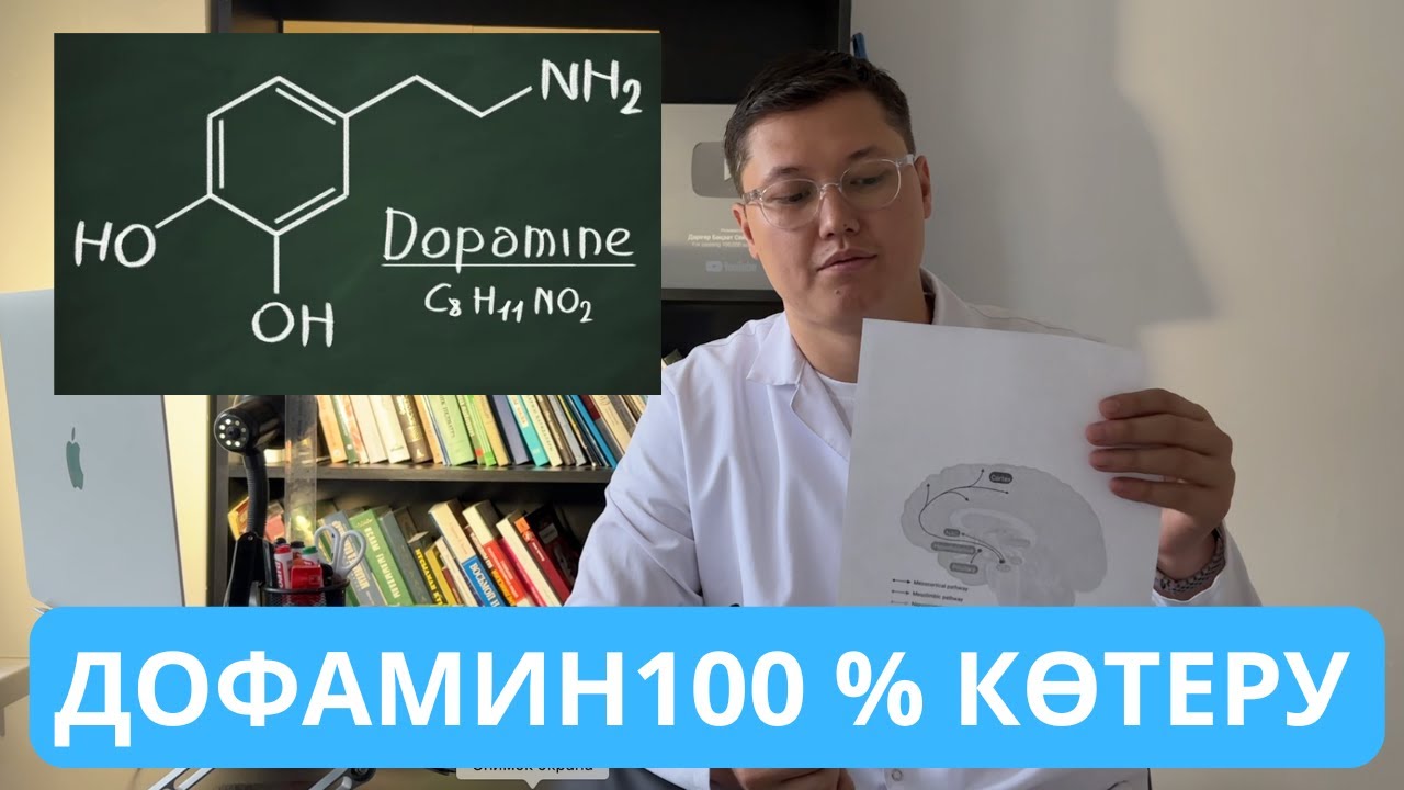 Дофамин гормоны ҚАЛАЙ БІЗДІҢ ӨМІРГЕ әсер етеді. ӨМІРІҢІЗ 100 % өзгереді