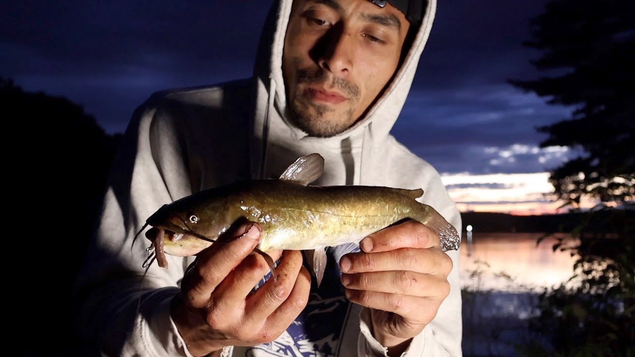 Night Fishing for Summer Bullhead Catfish (simple how-to)