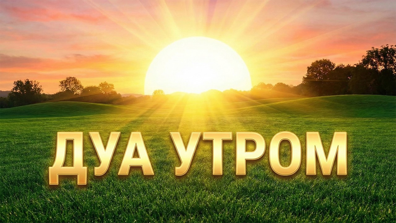 ЗАРЯД ПОЗИТИВА И БАРАКАТА НА ВЕСЬ ДЕНЬ ☀️
