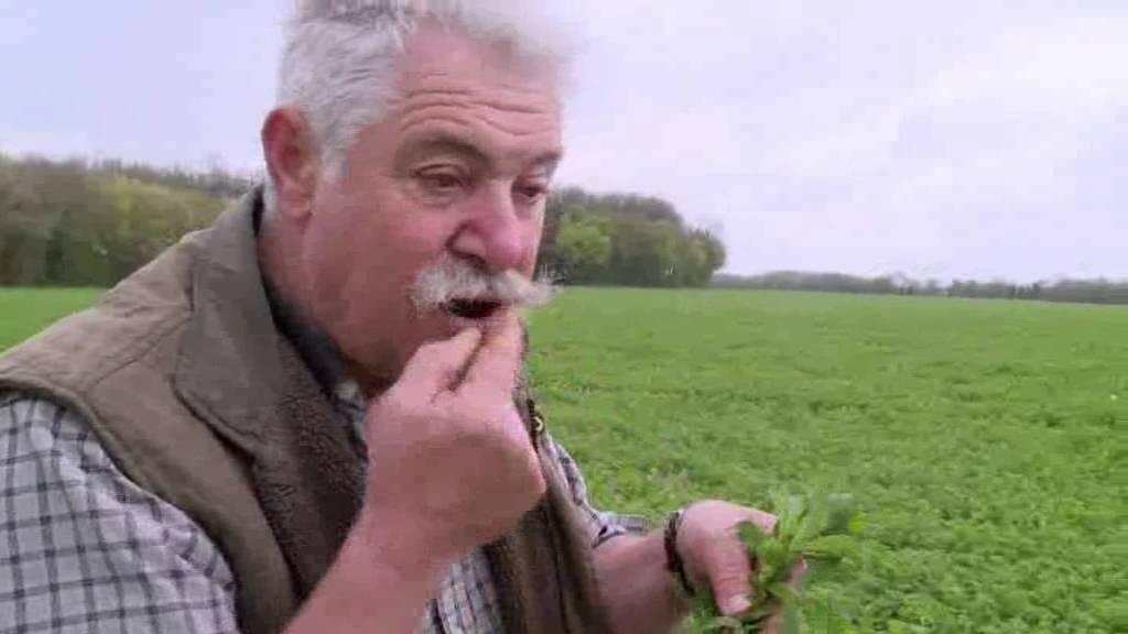Épicerie fine - Le Mothais sur Feuille
