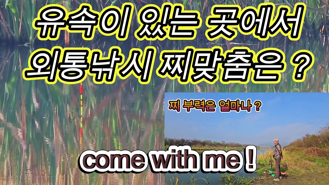 유속이 있는 천에서 외통낚시의 찌맞춤은 어떻게 해야 할까요 ? - 2023년 11월5일