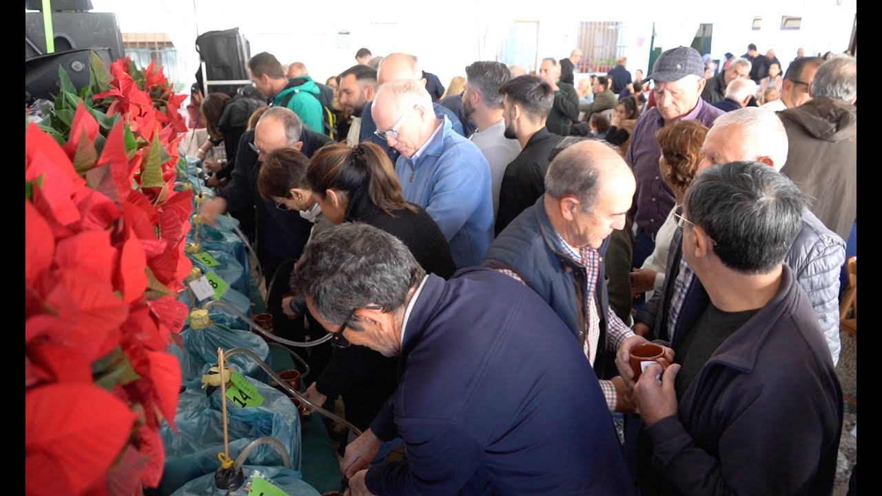 CARTAJIMA CELEBRÓ SU XIX CATA DE MOSTO CON NUMEROSO PÚBLICO