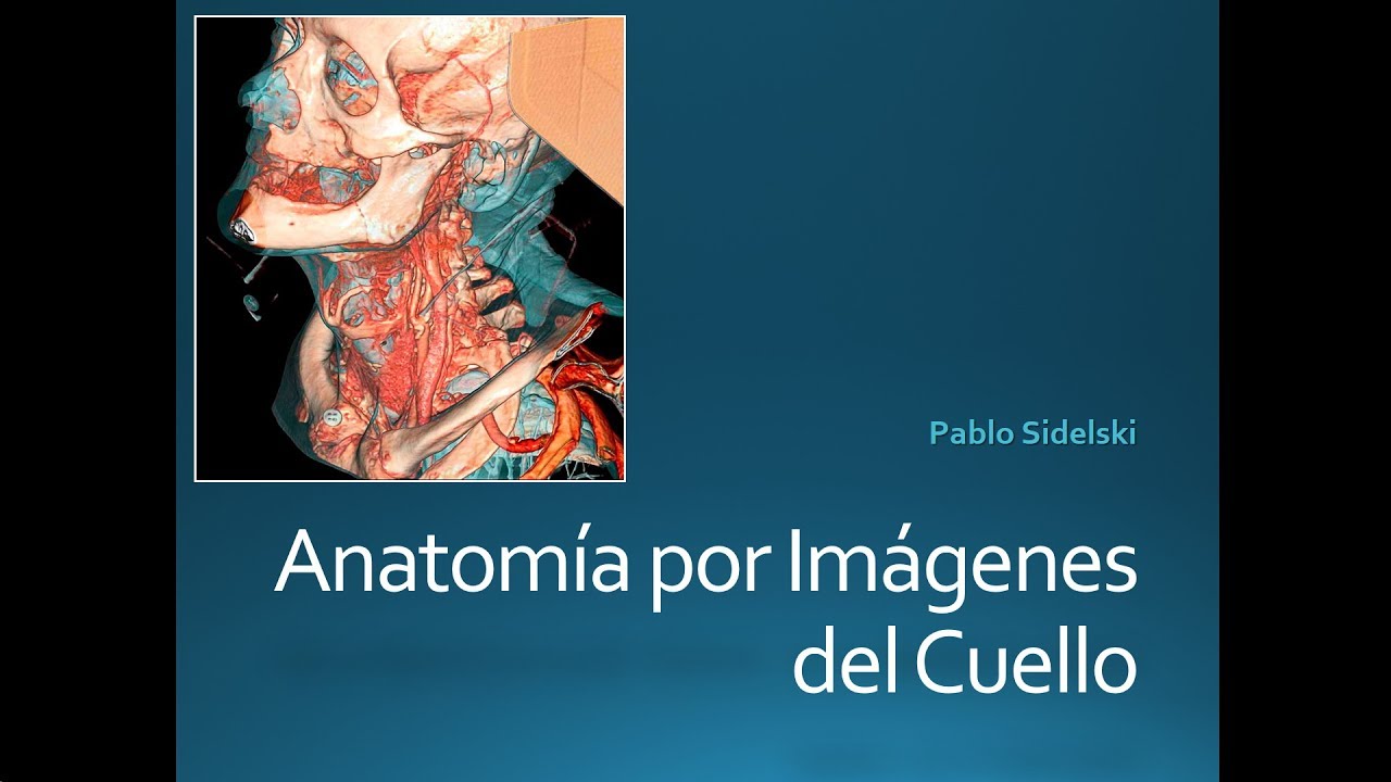 cuello general