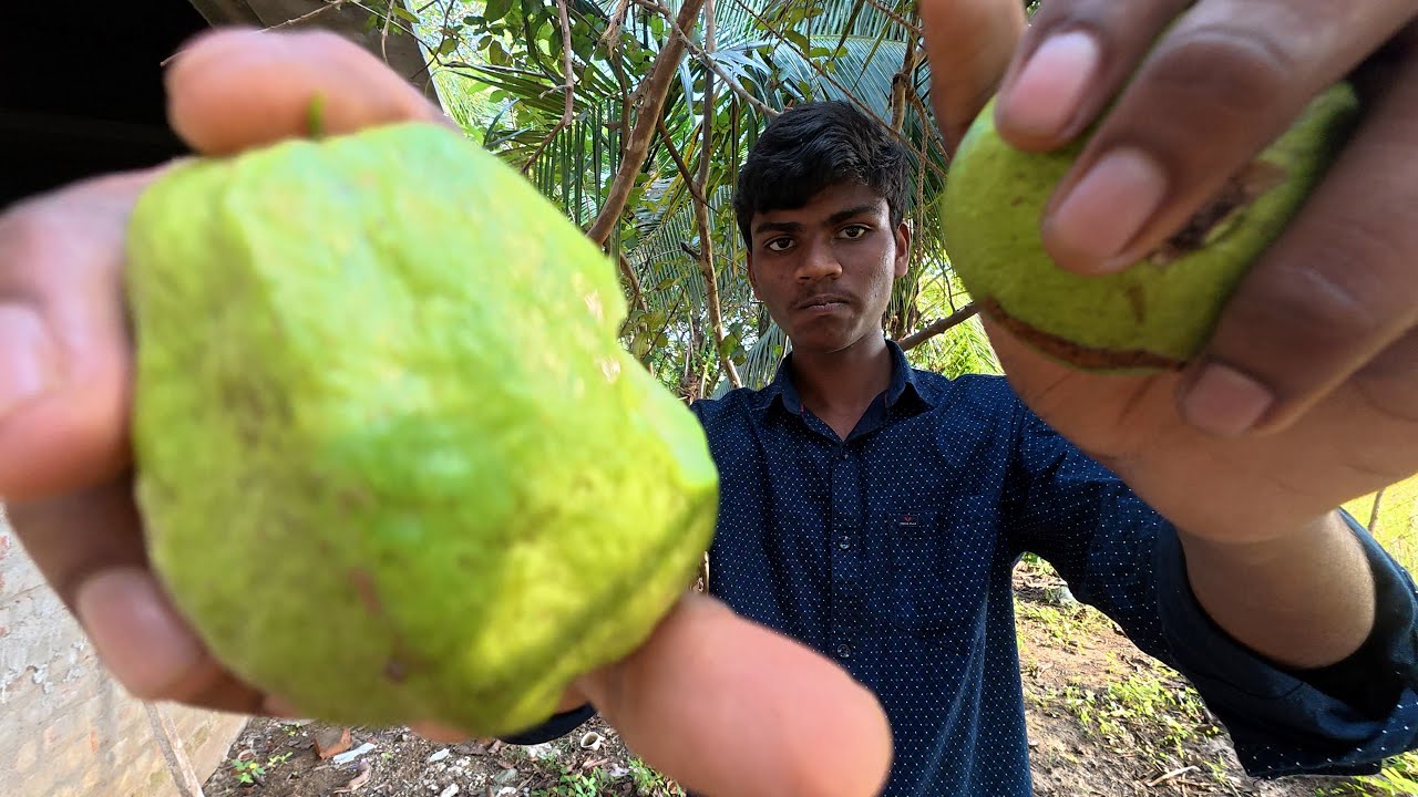 ASMR / Frush Guava Eating in Open Place,
