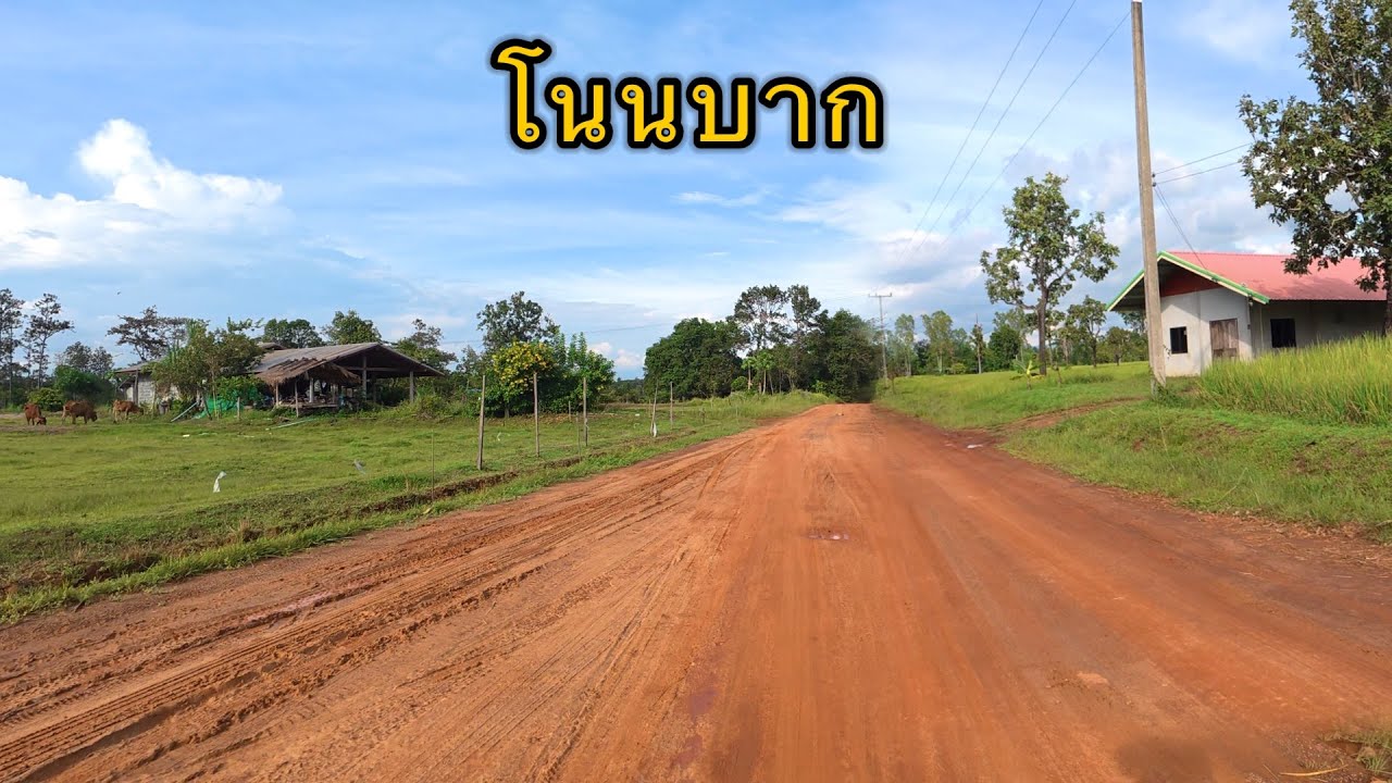 ชนบทอีสาน | เลาะบ้านโนนบาก ธรรมชาติ หมู่บ้านสวยงาม อ.บุณฑริก จ.อุบลราชธานี