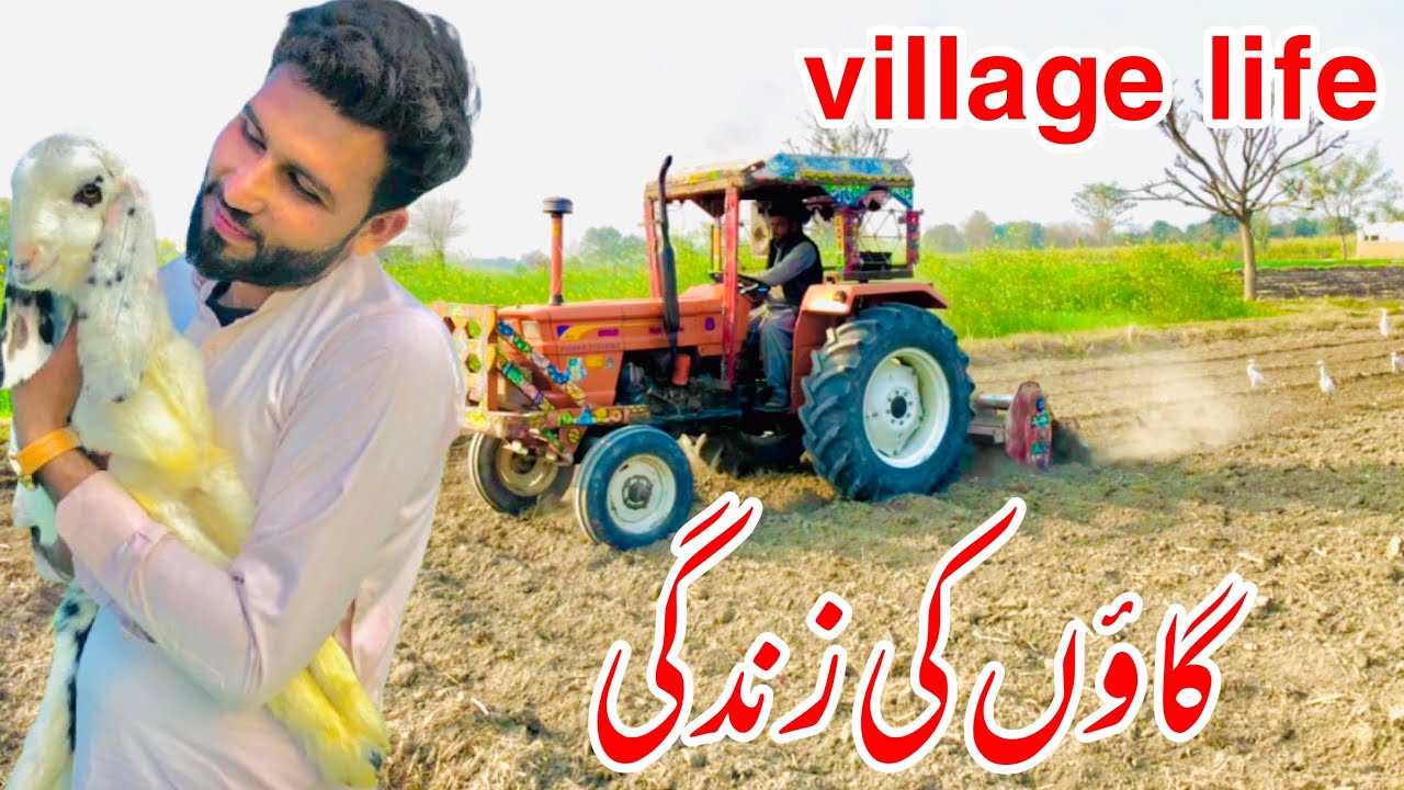گاؤں کی زندگی اور گاؤں میں کام کاج 