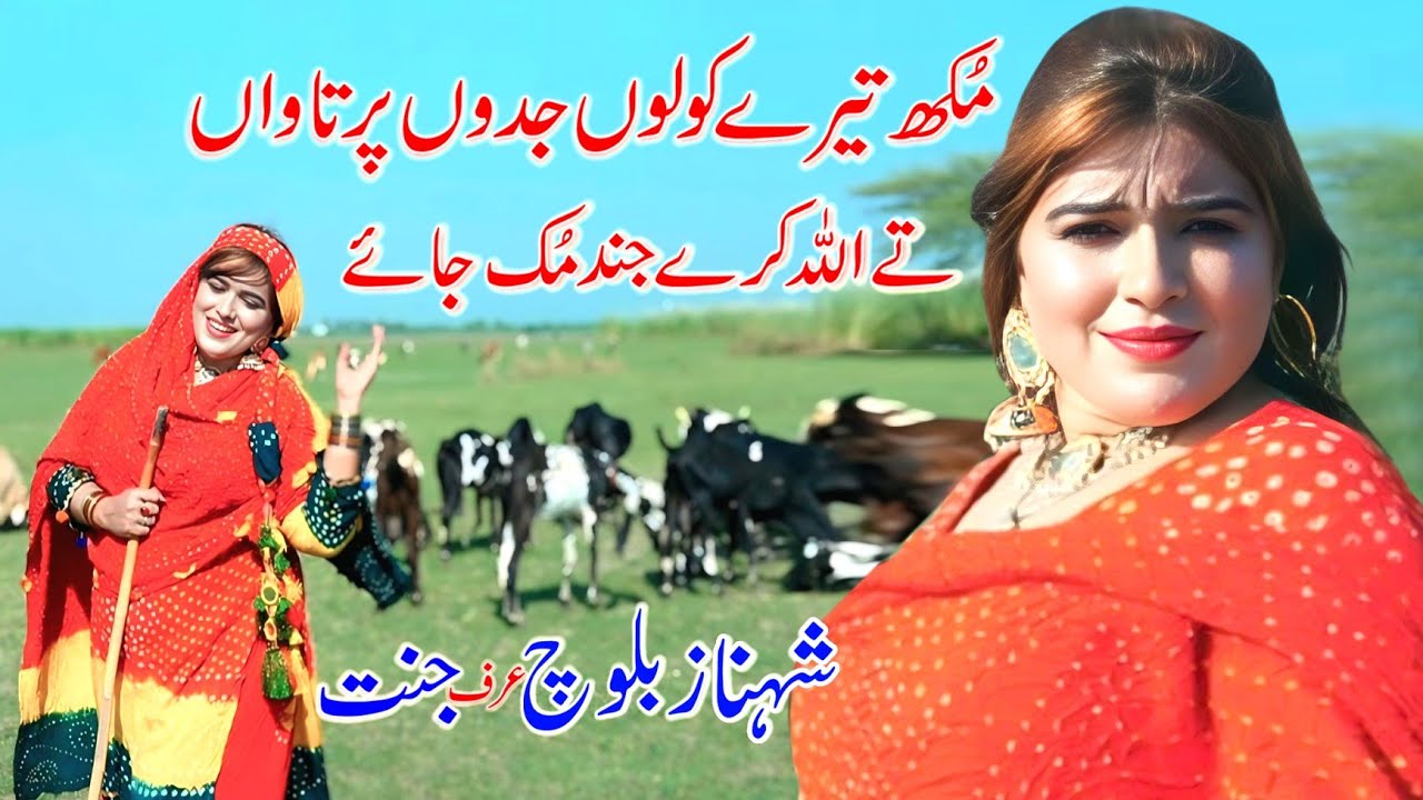 Mukh Tere Kolu Jadan Prtawa Allah Kare Jind Muk Jay | New Song 2024 | Singer Shehnaz Baloch Official
