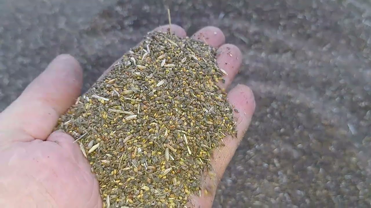 Nostrzyk Biały , Szkolenia na Biofarmiekolin ? # 308