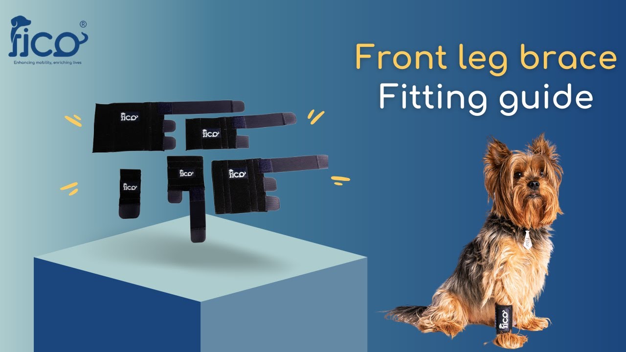 Fico's Front Leg Brace Fitting Guide - Supports the carpal joint &aids wound recovery