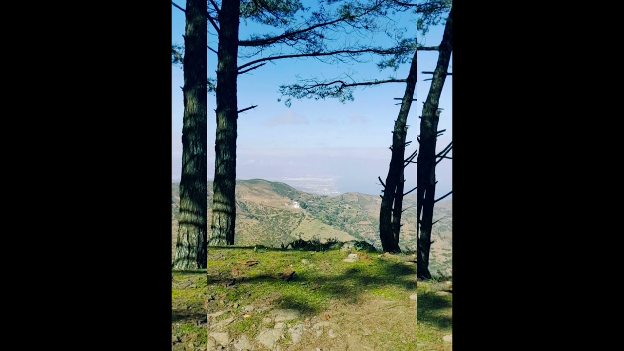 bosque primavera senderismo