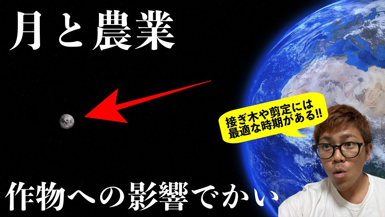 【月の影響でかい!!】月齢により作物の動きが変わる！接ぎ木や剪定，収穫や施肥，各種農作業の最適な時期は!?