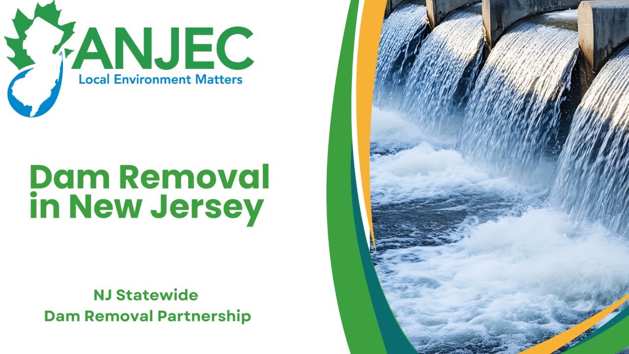 Local government ownership and Dam Removal in NJ